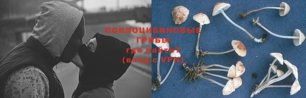 а пвп мука Верхний Тагил