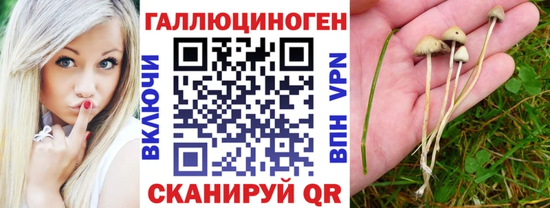 купить наркоту  Димитровград  Псилоцибиновые грибы ЛСД 
